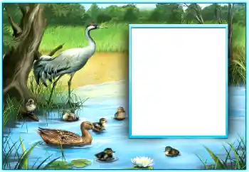 Foto-effetti della categoria Vari № 124254 Foto-effetti della categoria Vari № 124254