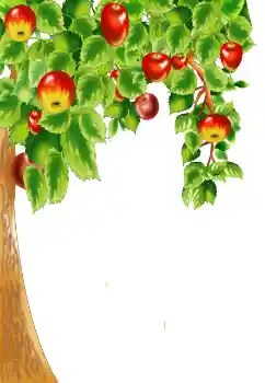 Foto-effetti della categoria Vari № 124400 Foto-effetti della categoria Vari № 124400