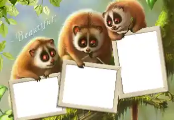 Foto-effetti della categoria Vari № 124434 Foto-effetti della categoria Vari № 124434