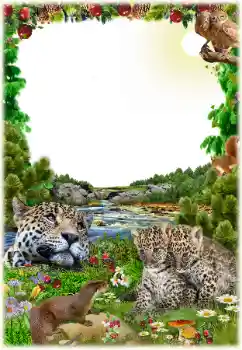 Foto-effetti della categoria Vari № 125652