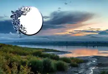 Foto-effetti della categoria Vari № 125673