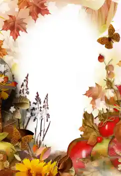 Foto-effetti della categoria Vari № 125777