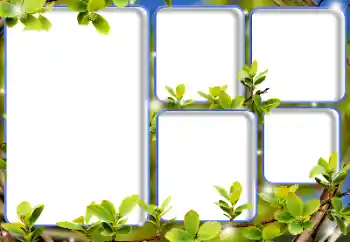 Foto-effetti della categoria Vari № 125893