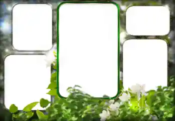 Foto-effetti della categoria Vari № 125911