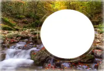 Foto-effetti della categoria Vari № 126953