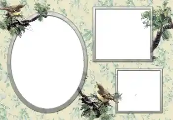 Foto-effetti della categoria Vari № 127132 Foto-effetti della categoria Vari № 127132