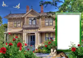 Foto-effetti della categoria Vari № 127146 Foto-effetti della categoria Vari № 127146