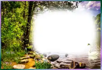 Foto-effetti della categoria Vari № 127169 Foto-effetti della categoria Vari № 127169