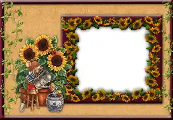 Foto-effetti della categoria Vari № 12849