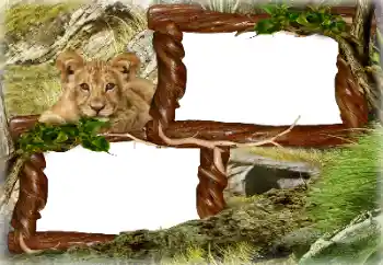 Foto-effetti della categoria Vari № 128637