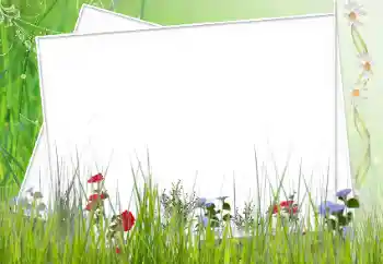 Foto-effetti della categoria Vari № 12902