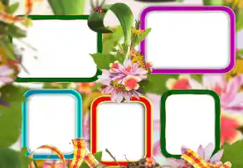 Foto-effetti della categoria Vari № 129813 Foto-effetti della categoria Vari № 129813