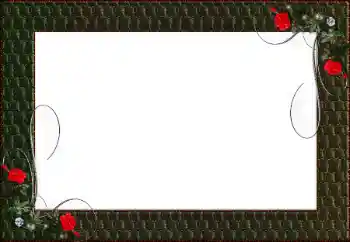 Foto-effetti della categoria Vari № 130469