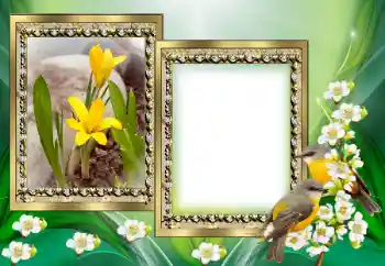 Foto-effetti della categoria Vari № 130649