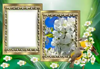 Foto-effetti della categoria Vari № 130650