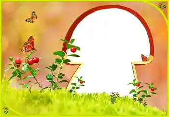 Foto-effetti della categoria Vari № 131022