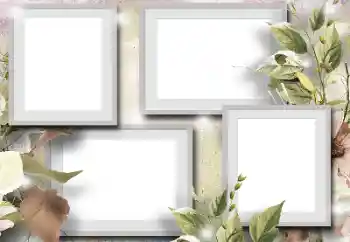 Foto-effetti della categoria Vari № 131105