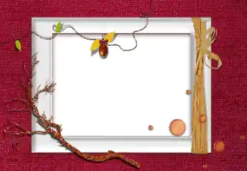 Foto-effetti della categoria Vari № 131204