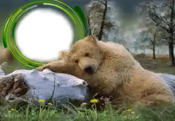 Foto-effetti della categoria Vari № 131305