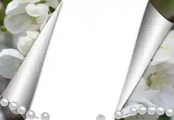 Foto-effetti della categoria Vari № 131361