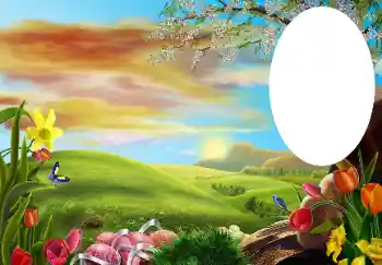 Foto-effetti della categoria Vari № 131534