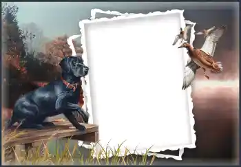 Foto-effetti della categoria Vari № 132874