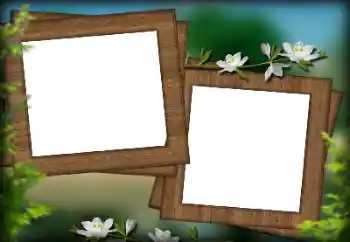 Foto-effetti della categoria Vari № 132936