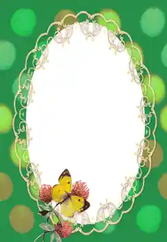 Foto-effetti della categoria Vari № 132991