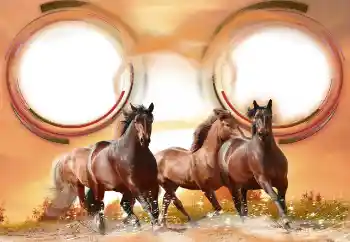 Foto-effetti della categoria Vari № 133286