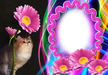 Foto-effetti della categoria Vari № 138543 Foto-effetti della categoria Vari № 138543