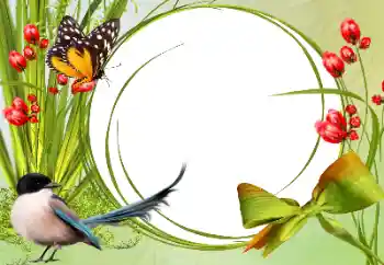 Foto-effetti della categoria Vari № 138546