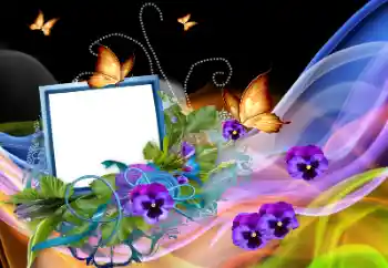 Foto-effetti della categoria Vari № 138568