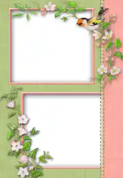 Foto-effetti della categoria Vari № 13930