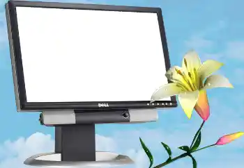 Foto-effetti della categoria Vari № 13988