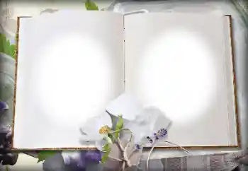 Foto-effetti della categoria Vari № 139914 Foto-effetti della categoria Vari № 139914