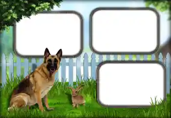 Foto-effetti della categoria Vari № 139921 Foto-effetti della categoria Vari № 139921