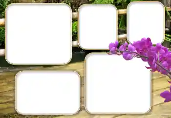 Foto-effetti della categoria Vari № 140964 Foto-effetti della categoria Vari № 140964