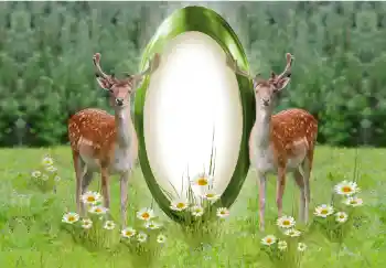 Foto-effetti della categoria Vari № 142259