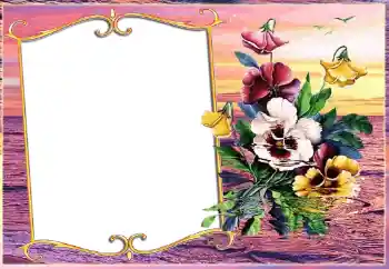 Foto-effetti della categoria Vari № 143511 Foto-effetti della categoria Vari № 143511