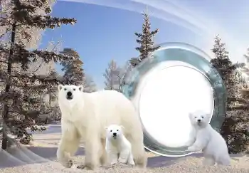 Foto-effetti della categoria Vari № 143683 Foto-effetti della categoria Vari № 143683