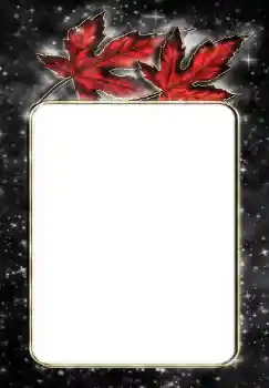 Foto-effetti della categoria Vari № 144867 Foto-effetti della categoria Vari № 144867