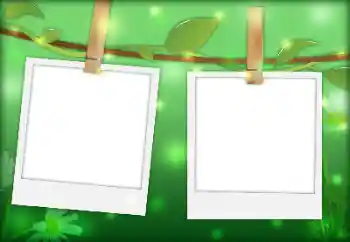 Foto-effetti della categoria Vari № 144901