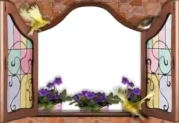 Foto-effetti della categoria Vari № 145186