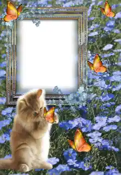 Foto-effetti della categoria Vari № 147609 Foto-effetti della categoria Vari № 147609