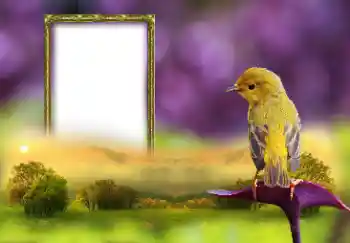 Foto-effetti della categoria Vari № 147660 Foto-effetti della categoria Vari № 147660