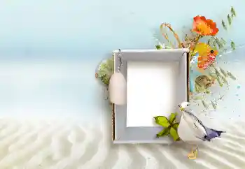 Foto-effetti della categoria Vari № 147890