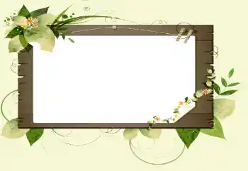 Foto-effetti della categoria Vari № 14896