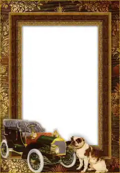 Foto-effetti della categoria Vari № 148971