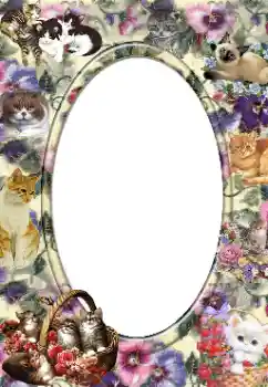 Foto-effetti della categoria Vari № 14919