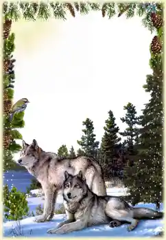 Foto-effetti della categoria Vari № 149260